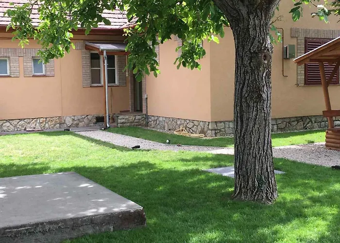Arany Vendeghaz * Zamardi